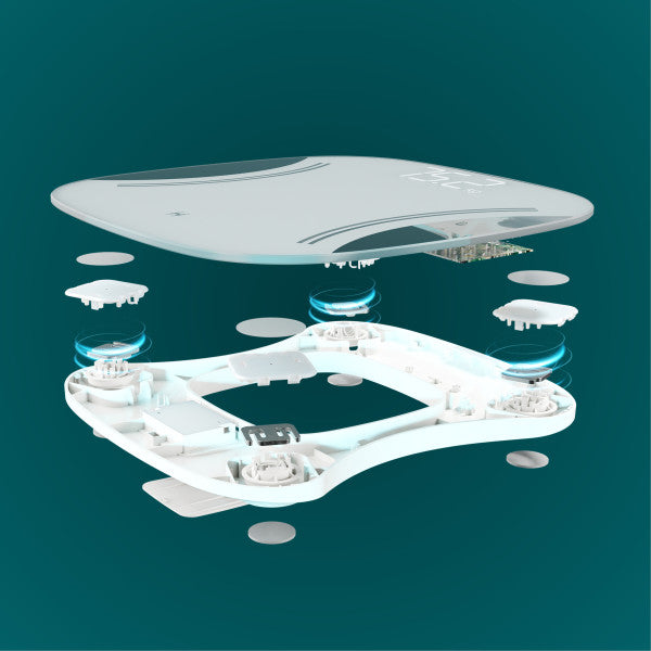 Homedics SCL-LDB135-SV3R Essential XL Display Body Weight Scale