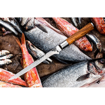 Žuvies filiavimo peilis Forged Olive 18cm