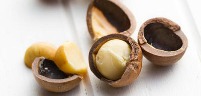 Atstatomasis Macadamia Natural Oil plaukų aliejus MAM3002, 27 ml