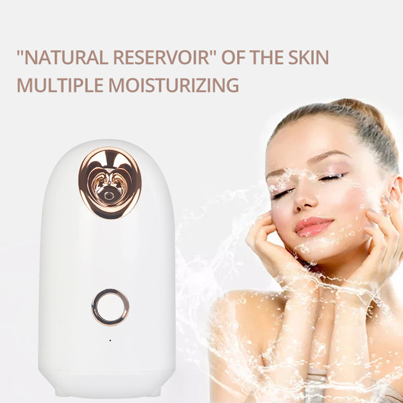 Facial skin moisturizer Nano Ion vaporizer