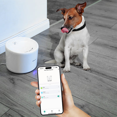 Диспенсер для воды для домашних животных Tellur Smart WiFi, 2 л, белый