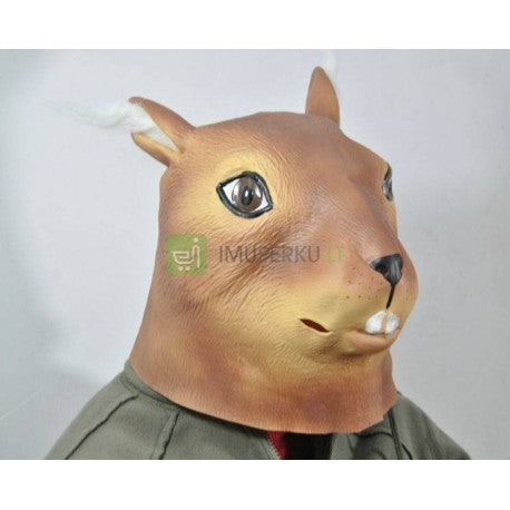 The mask is a squirrel