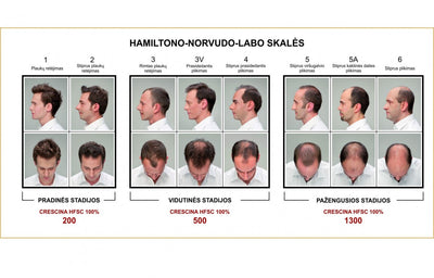 CRESCINA HFSC ampulių kompleksas plaukų slinkimo stabdymui ir plaukų atauginimui VYRAMS 1300 stiprumo, 20 vnt. (10+10) +dovana plaukų šampūnas
