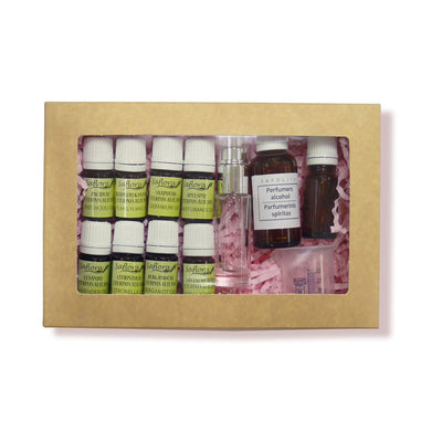 Saflora Perfume making kit flower scented perfume with your own hands 