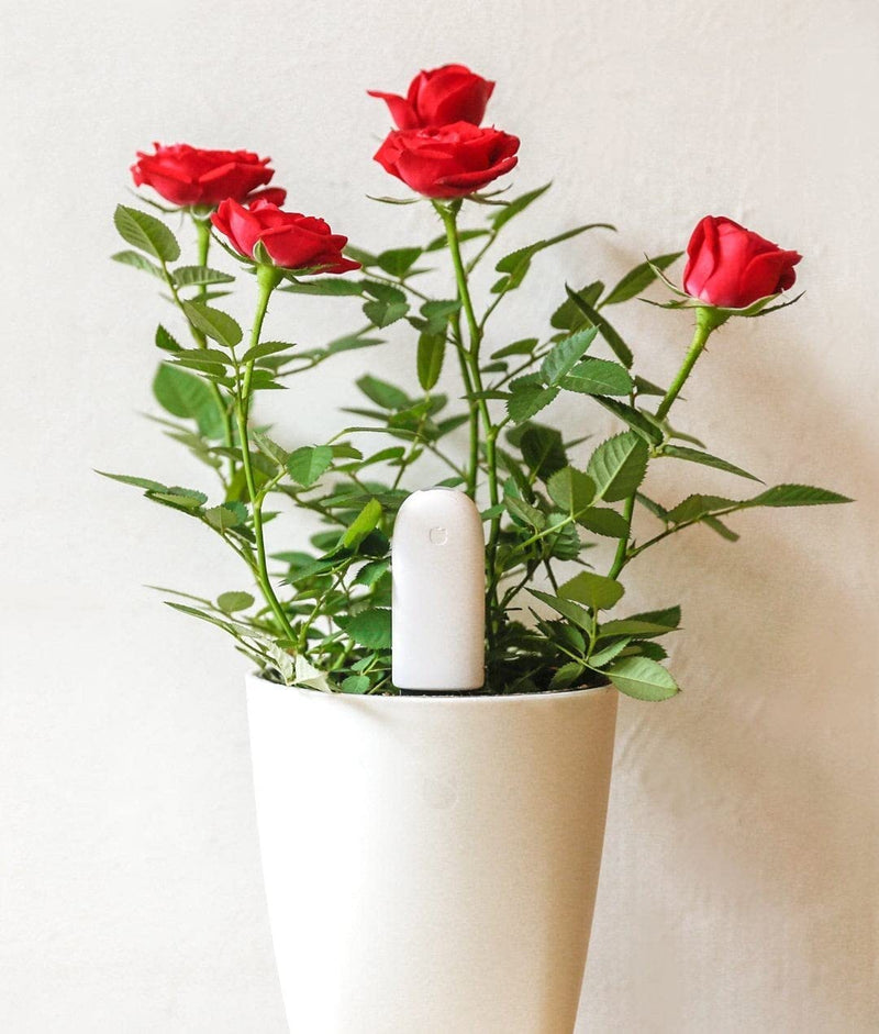 Датчик растений для ухода за цветами Xiaomi Mi