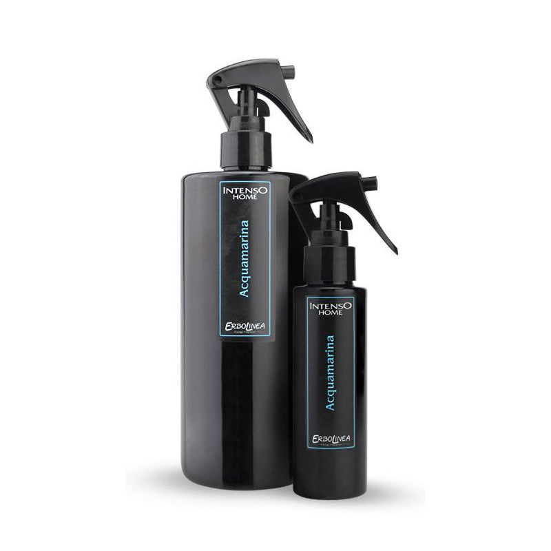 Home spray Erbolinea Intenso Aquamarina ERBINTAQUA100, 100 ml + gift Previa hair product
