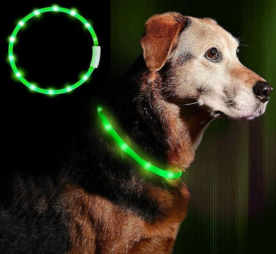 Светодиодный ошейник Anicol для собак и кошек зеленый