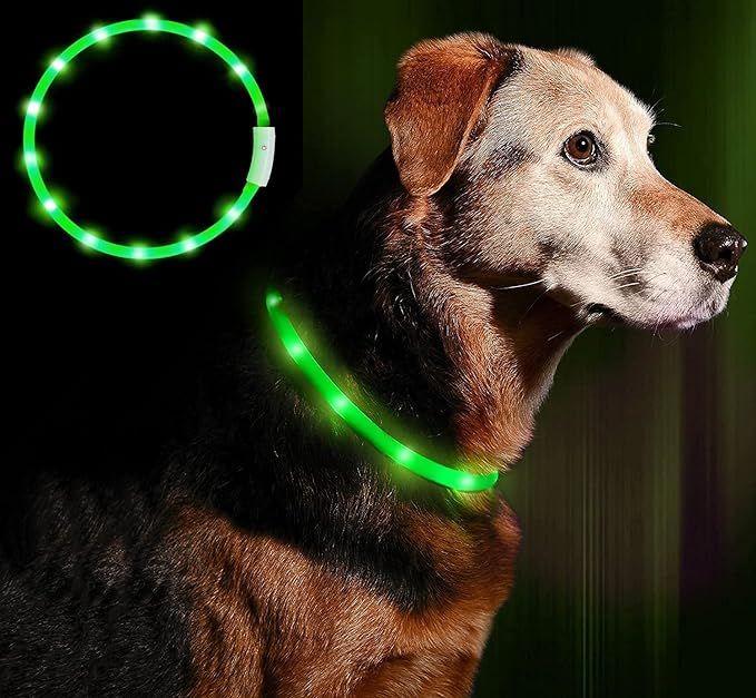 Светодиодный ошейник Anicol для собак и кошек зеленый